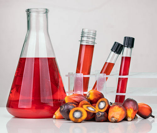 palma_0001_aceite-de-palma